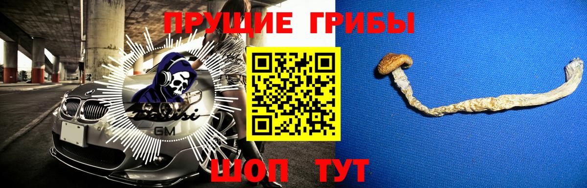 Тула  Псилоцибиновые грибы мицелий  Вход с VPN 